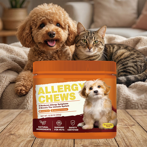 OEM ODM Marque Privée Huile de Saumon Probiotiques Soutien Immunitaire Soulagement des Démangeaisons Peau et Pelage Chiens Chats Friandises à Mâcher Souples Absorption Rapide Naturel - Product Image 3