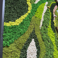 Panel de Arte Artificial Personalizado con Musgo Natural, Decoración de Pared para Hogar, Hotel, Jardín