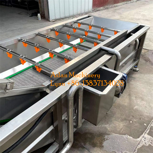 Tự động 1000 kg/giờ rau bina & Apple Máy làm sạch không khí bong bóng loại-cho Trái Cây Đậu Tương & nước nguyên liệu - Product Image 6