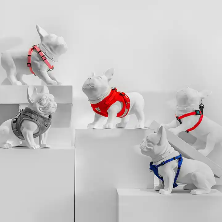 kevin3 dog mannequin pet dog model