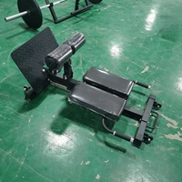 Usine directe banc nordique équipement de gymnastique vente chaude chaise romaine haute qualité musculation banc d'exercice professionnel