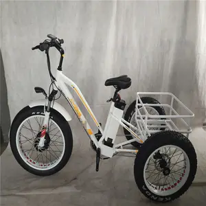 750W vélo électrique 3 roues adulte gros pneu e trike trois roues tricycles électriques de cargaison