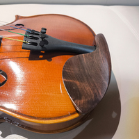 Hot Selling European Imported Wood Spruce Solid Flamed Maple Violin Manufacturer Wholesale Provide Custom/OEM
