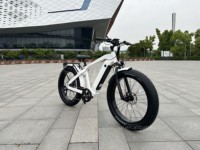 Vélo électrique hybride Big Power Mountain 15Ah avec batterie dissimulée, moteur arrière Bafang, pneus larges, style cruiser de plage