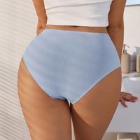 Eigen logo 2026 NIEUW Aangekomen Jonge Meisjes Stijlvolle Onderbroekjes Mesh Snel Droogende Bikini's Transparant Doorzichtig Ondergoed