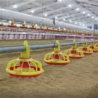 Système d'équipement de ligne de contrôle automatique pour l'alimentation et l'abreuvement des poulets de chair en élevage avicole, conception moderne