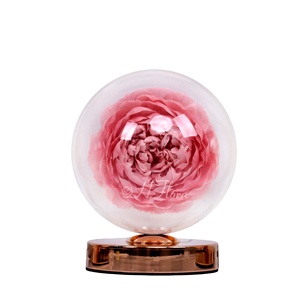 Hflora A Grade peonie Flower Lamp vendita calda Eternity <span class=keywords><strong>Flowers</strong></span> idee per scatole regalo per la festa della mamma personalizza altre piante di fiori decorativi - Product Image 1