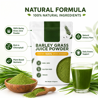 Poudre de jus d'herbe d'orge Bioby OEM en gros 100g Végétalien Sans gluten NON-OGM Favorise la fonction cognitive Relaxation Green food quotidien