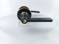 Cerradura de manija de puerta de aleación de Zinc de alta calidad, cerradura de palanca, cerradura de manija de entrada Exterior Interior, cerradura de palanca Tubular