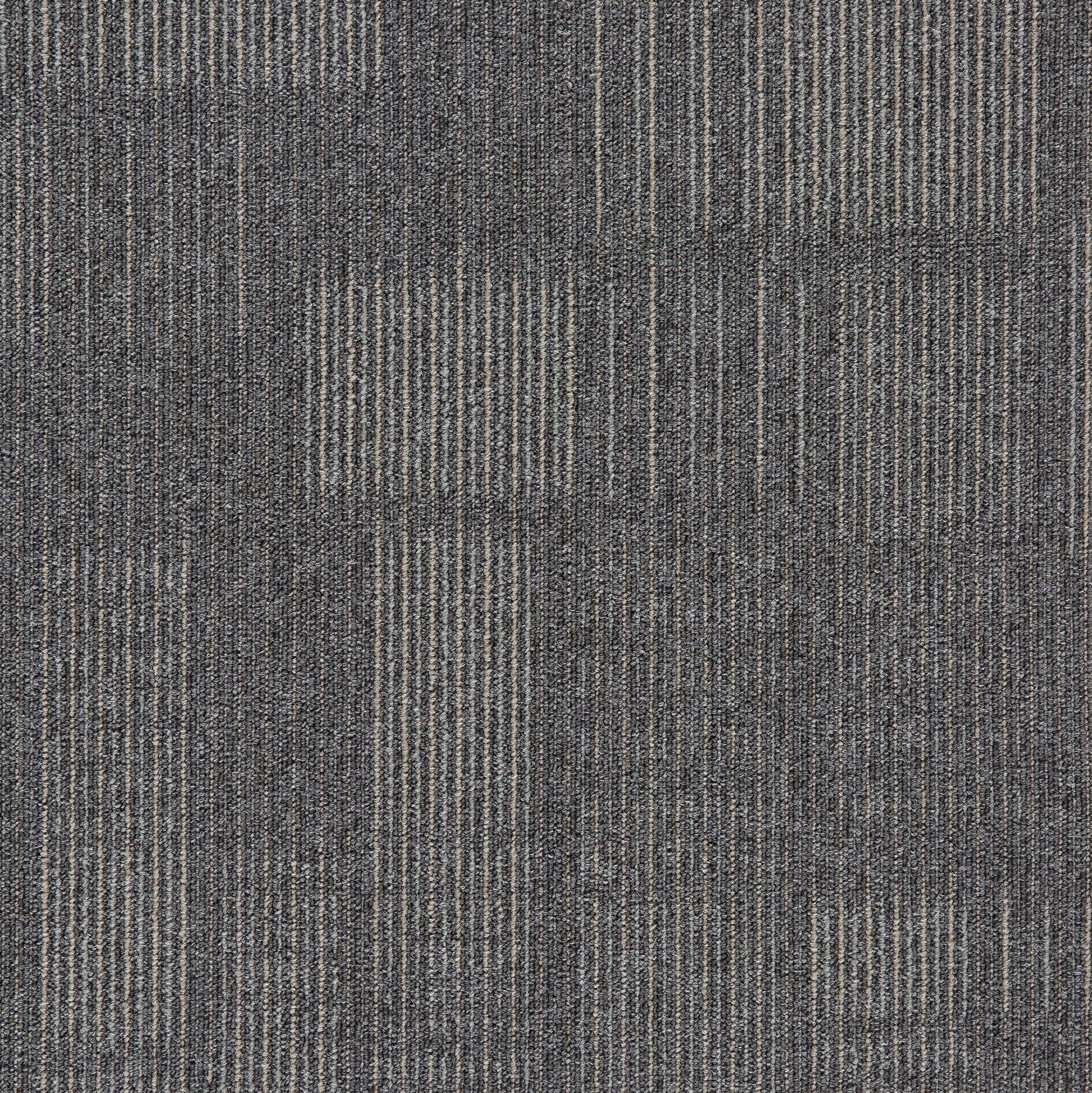 Grey11