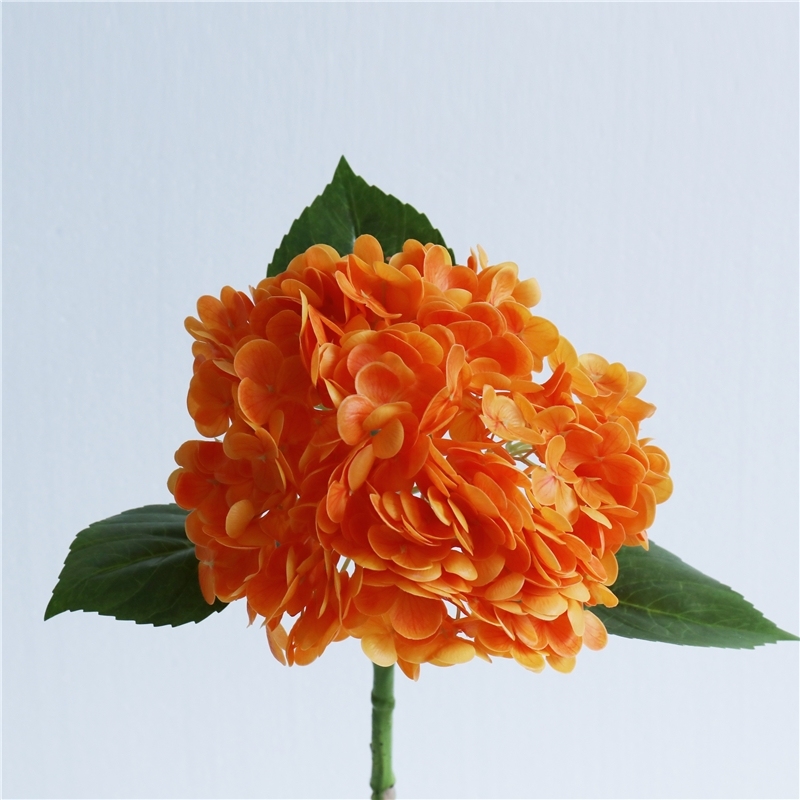 Arancione