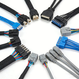 Fabrication de faisceaux de câblage personnalisés, assemblages de faisceaux de câblage complets pour moteurs automobiles - Product Image 1