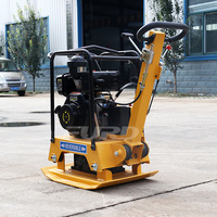 Vente directe d'usine moteur à essence/compacteur à plaques portable pour moteur diesel