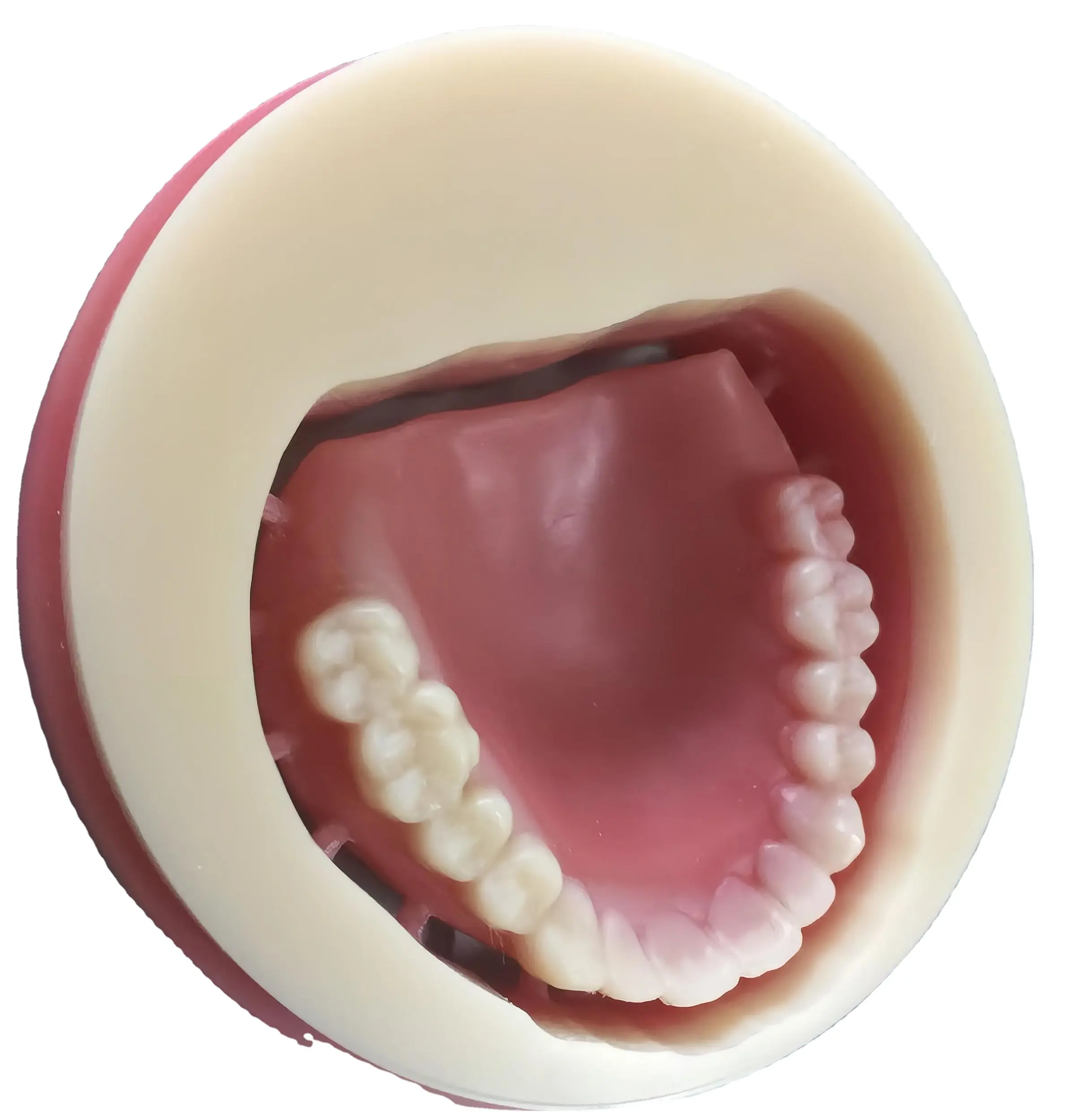 एक्रिलिक राल सामग्री Thermopla दंत PMMA डिस्क के साथ लचीला आंशिक डेन्चर PMMA ब्लॉक