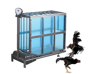 Animal Sports Fight Cock Training Animal Dog Cat Electric Treadmill