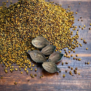 Suplemento Antioxidante a Granel, Fruta Seca Entera, Myrobalan Secado al Sol - Product Image 2