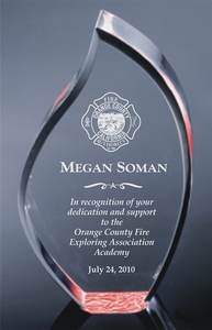 ราคาโรงงาน2025ถ้วยรางวัลอะคริลิครูปสไตล์ทะเลออกแบบได้ตามต้องการของขวัญทางธุรกิจและงานฝีมือพลาสติกเปล่า - Product Image 6