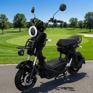 New Style Scooter EBike Carbon Steel Frame 3-Speed Brushless 1000W High-Speed Two-Wheeled Motorcycle - Product Image 1