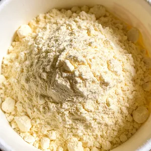 Polvo para Helado Suave <span class=keywords><strong>de</strong></span> <span class=keywords><strong>Vainilla</strong></span> Francesa Clásica |   Calidad Consistente, Rica y Cremosa para Cafeterías y Pastelerías | Fabricante al por Mayor - Product Image 4