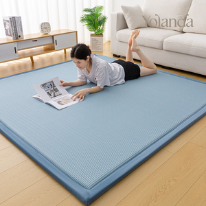 Nuevo Colchón Refrigerante para <span class=keywords><strong>Niños</strong></span>, Ideal para Jugar y Dormir en Casa, Tipo Tatami - Product Image 6