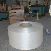 600D FDY PP Yarn Use for Rope Webbing Sewing Thread