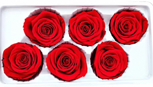 Nouvelle ouverture de <span class=keywords><strong>magasin</strong></span>, cadeau de la Saint-Valentin, vie éternelle, éternité illimitée, roses stabilisées et conservées pour la remise des diplômes, Noël - Product Image 1