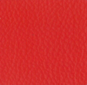 Rose R801