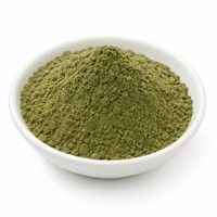 Extrait de feuilles d'Andrographis Paniculata en poudre, qualité alimentaire, blanc, 10% 50% Andrographolide, à base de plantes naturelles