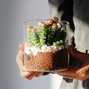 Commercio all'ingrosso di alta borosilicato cilindro dritto <span class=keywords><strong>vasi</strong></span> di vetro <span class=keywords><strong>per</strong></span> la decorazione da tavolo funzionale vaso da tavolo al prezzo di fabbrica - Product Image 5