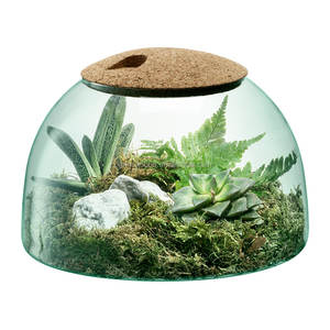 Moderne innen Gärten <span class=keywords><strong>Terrarium</strong></span> Schalen Pflanzer Einfach zu Pflege Indoor Anlage <span class=keywords><strong>Terrarium</strong></span> Charmed Gärten - Product Image 1