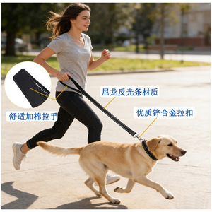 Laisse réfléchissante pour chien de grande race en nylon avec boucle en alliage de zinc pour la course – Fournitures pour animaux de compagnie - Product Image 1
