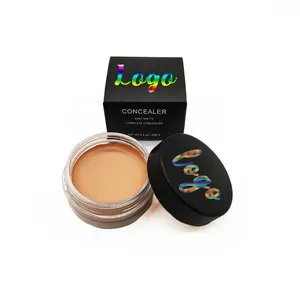 10 màu sắc bảo hiểm đầy đủ che khuyết điểm Palette bán buôn thấp moq tùy chỉnh duy nhất Kem che khuyết điểm