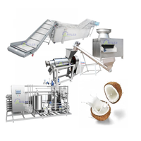 Fabrieksleverancier van productielijnen voor gedroogde kokosnoot, machine voor de verwerking van gedroogde kokosnoot