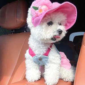 Lindo Vestido de Mezclilla y Volantes Rosas para Perro con Conjunto de Sombrero para el Sol a Juego - Atuendo de Verano para Perros Pequeños y Cachorros, Ropa para Mascotas - Product Image 5