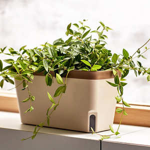Pots à fleurs rectangulaires en plastique <span class=keywords><strong>BRICE</strong></span>, système d'auto-arrosage, coton absorbant d'intérieur, auto-arrosage des plantes, pot à arrosage automatique, pot paresseux - Product Image 3