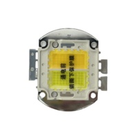 Perles de lampe LED 200W-Blanc froid et blanc chaud (30 - 34V) pour LED COB Par, Flood, Spotlight et Lampada Lighting