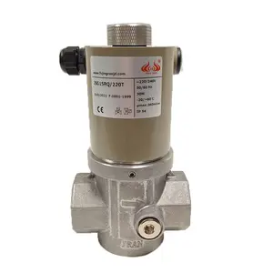 Industrial boiler solenoid valve Combustion system normally closed fast open and fast close gas solenoid valve control valve