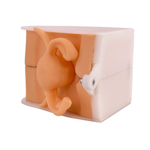 Vrouwelijke <span class=keywords><strong>Vagina</strong></span> Onderzoek Model Vrouwelijke Voortplantingssysteem Model Cervicale Onderzoek Model - Product Image 6