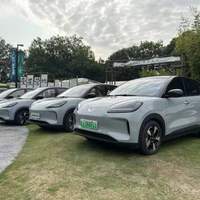 Véhicule à énergie nouvelle Wuling Bingo Plus EV SUV 4 roues Mini voiture électrique chinoise voiture bon marché à vendre