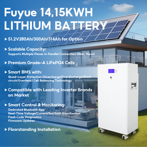 15kWh 51.2V 280Ah 300ah 리튬인산철(LiFePO4) 배터리 벽걸이형 태양광 가정용 에너지 저장장치 (스마트 BMS CAN 통신 기능 포함) - Product Image 5