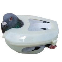 Dispositif d'alimentation pour pigeons de course, outil de fixation pour pigeons blancs, aide à l'injection de médicaments