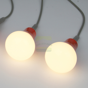 Système d'éclairage automatique personnalisé pour les poulaillers - Élimine les variations de luminosité entre les niveaux de cages, adapté aux poulaillers de ponts - Product Image 3