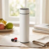Cadeau d'entreprise, thermos intelligent avec affichage de la température LED, 500 ml, en acier inoxydable, gourde isotherme, logo personnalisé, vente en gros, tasse promotionnelle