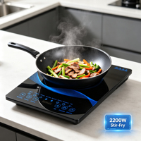 Cuisinière à induction électrique étanche 2200W, plaque céramique robuste, écran tactile, portable, 8 niveaux de puissance, vente en gros 5P