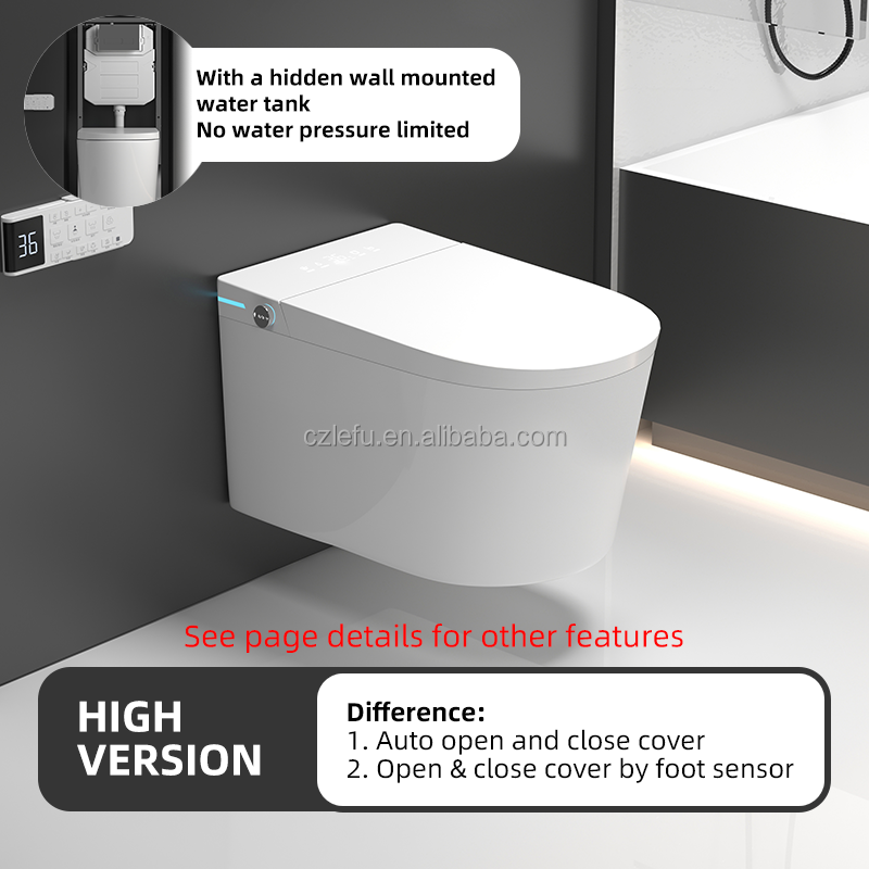 Versión alta (tanque de agua oculto colgante)