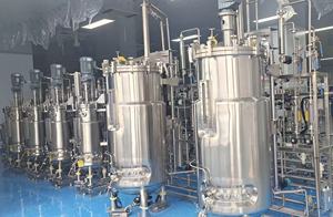 معيار الاتحاد الأوروبي 30-100-500L متعدد المراحل مصنع التحريك الميكانيكي مفاعل حيوي BLBIO 30-100-500SJA خزان التخمير البيولوجي - Product Image 6