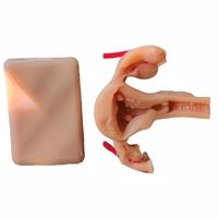Módulo de Entrenamiento Laparoscópico Ginecológico para Práctica de Corte, Desprendimiento y Sutura en Silicona para Educación Biológica
