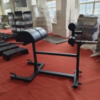 Équipement de gymnastique commerciale pas cher prix acier fessier jambon développeur soulever la machine pour la musculation