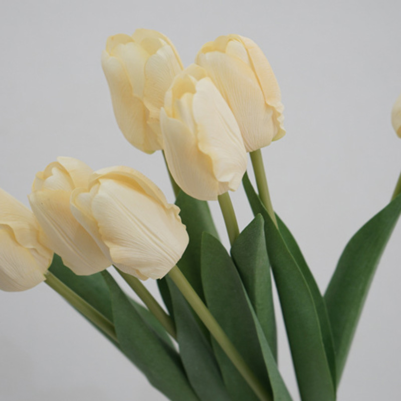 Rafite tulipano giallo chiaro