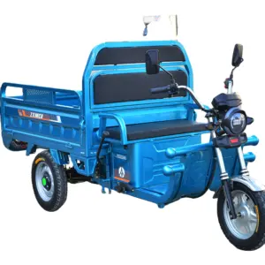 Trike Electric 60V 1500W Electric Transporter for Cargo Adults Customized 3 Wheels Electric Scooter 2 Seat Eec Open 500kg